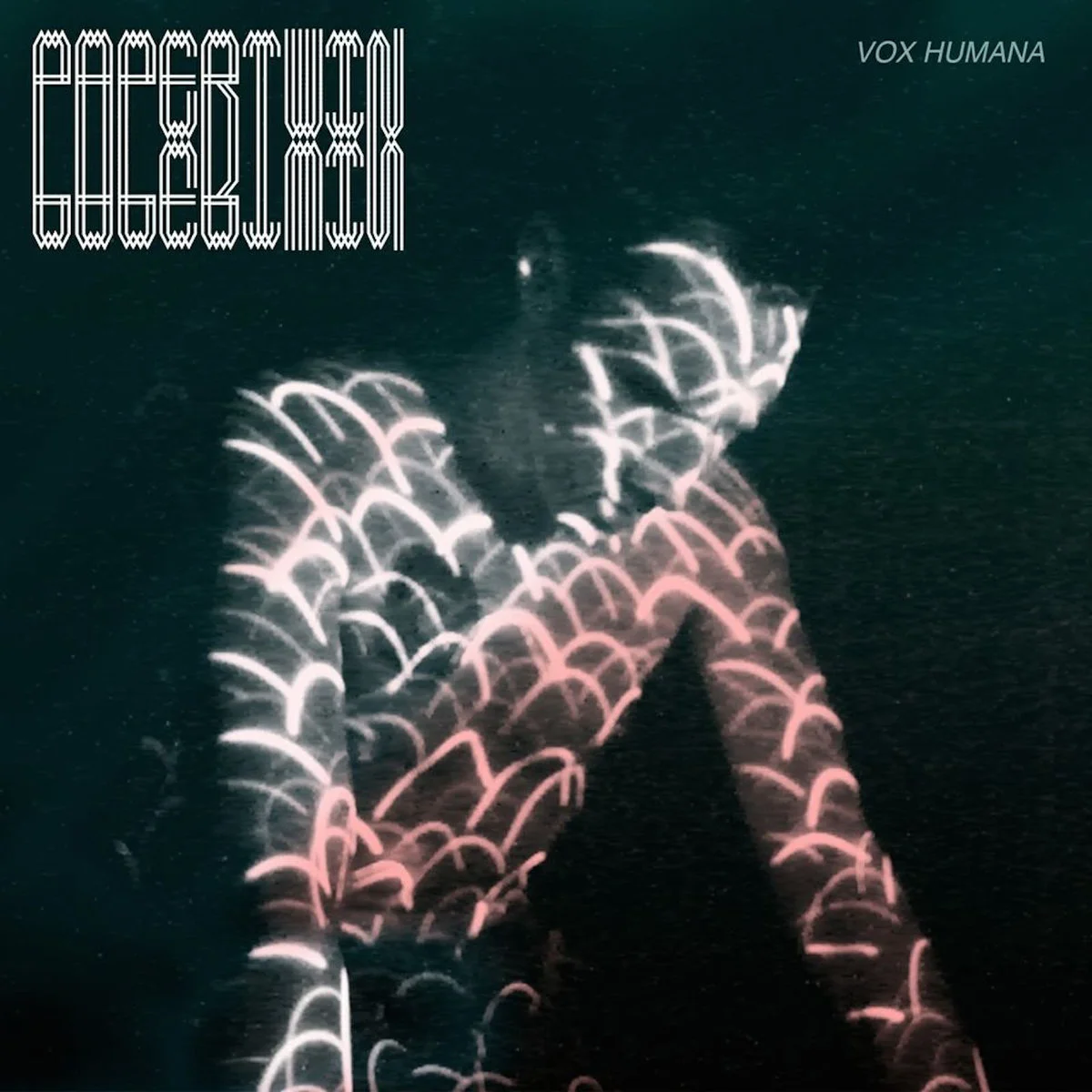 Bands