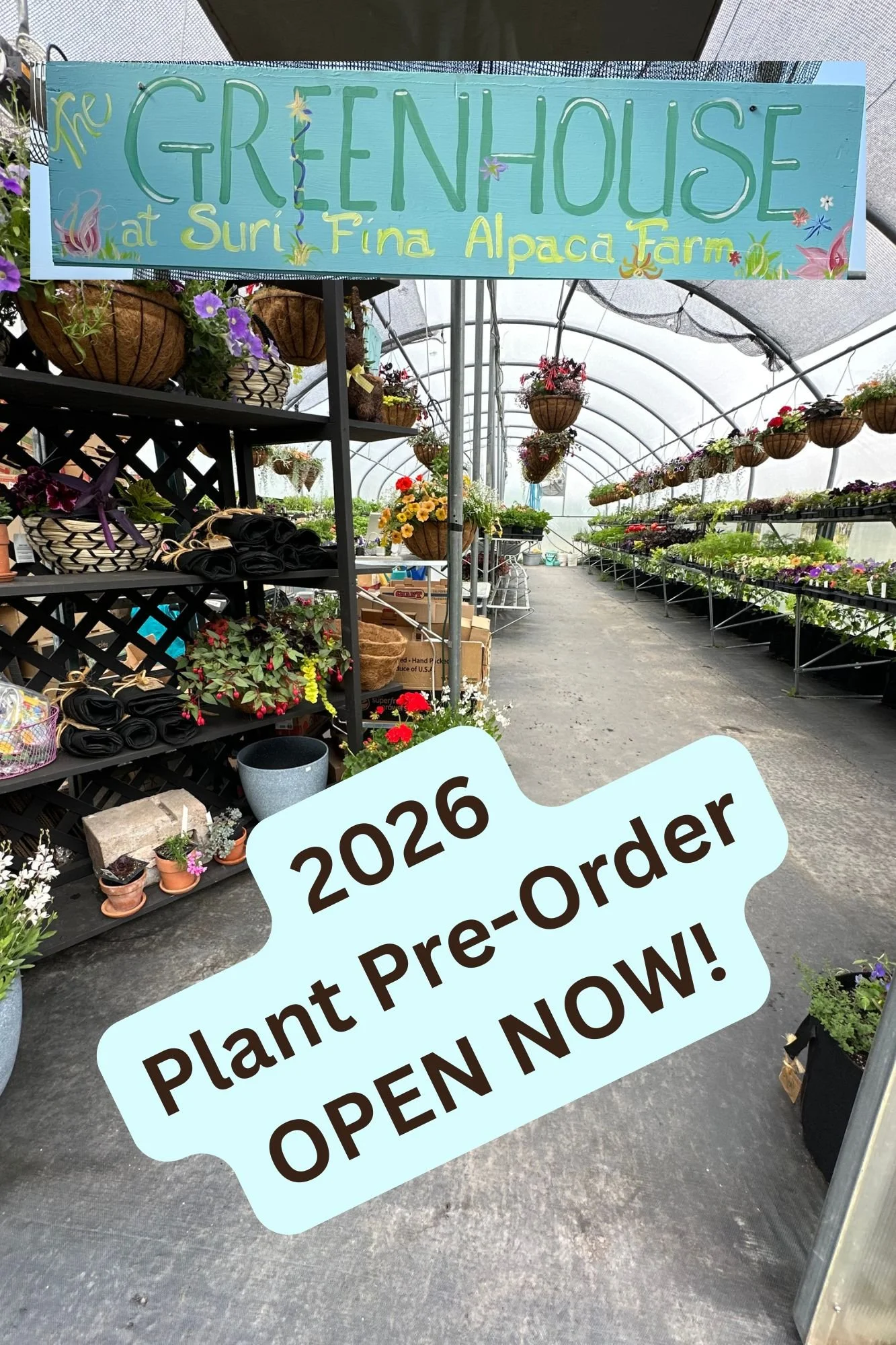 A picture of our greenhouse with a link to online pre-order page.