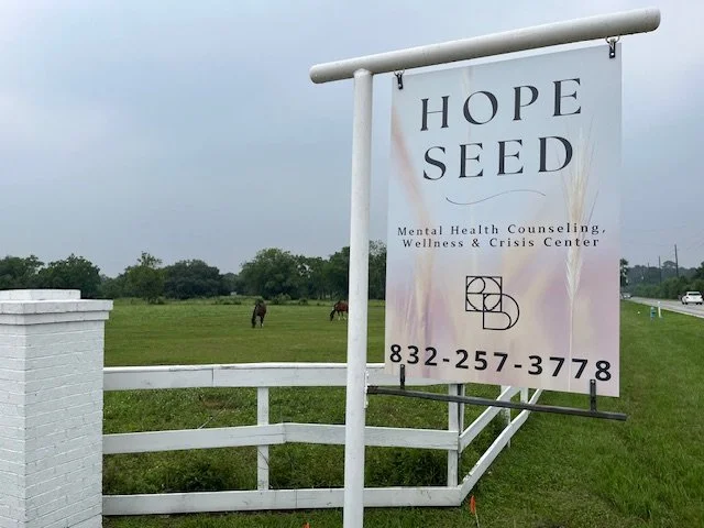 Hope Side Rd Hope Seed Support Center Counseling Center and Resources for Mental ...