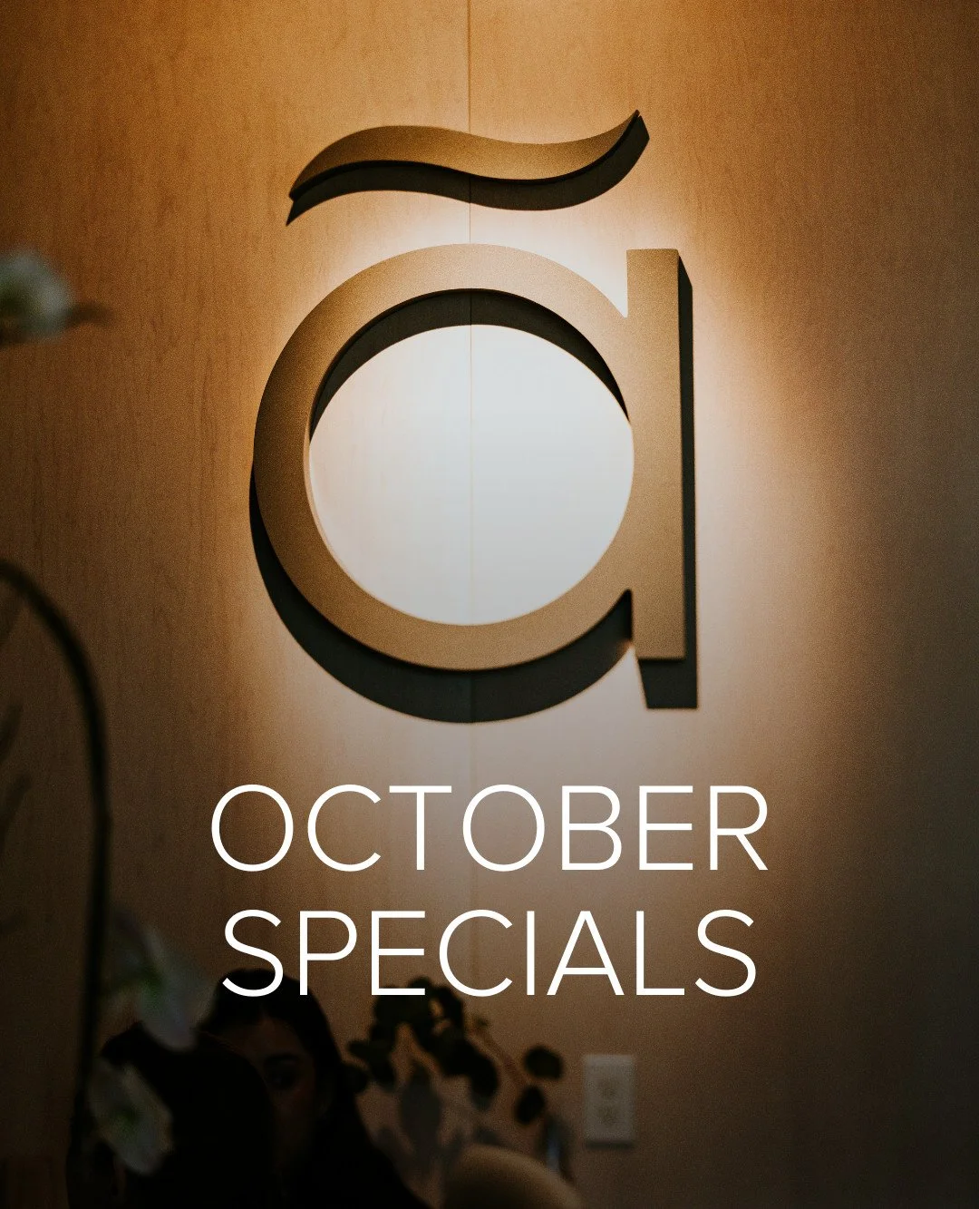 🍂✨ Fall at Ananya = self-care season, officially here! 

This month, we packed the calendar with glow-boosting facials, Luzern skincare gifts, and weekly reasons to pause and treat yourself. Think of it as a full fall reset for your skin + soul 🍁 
