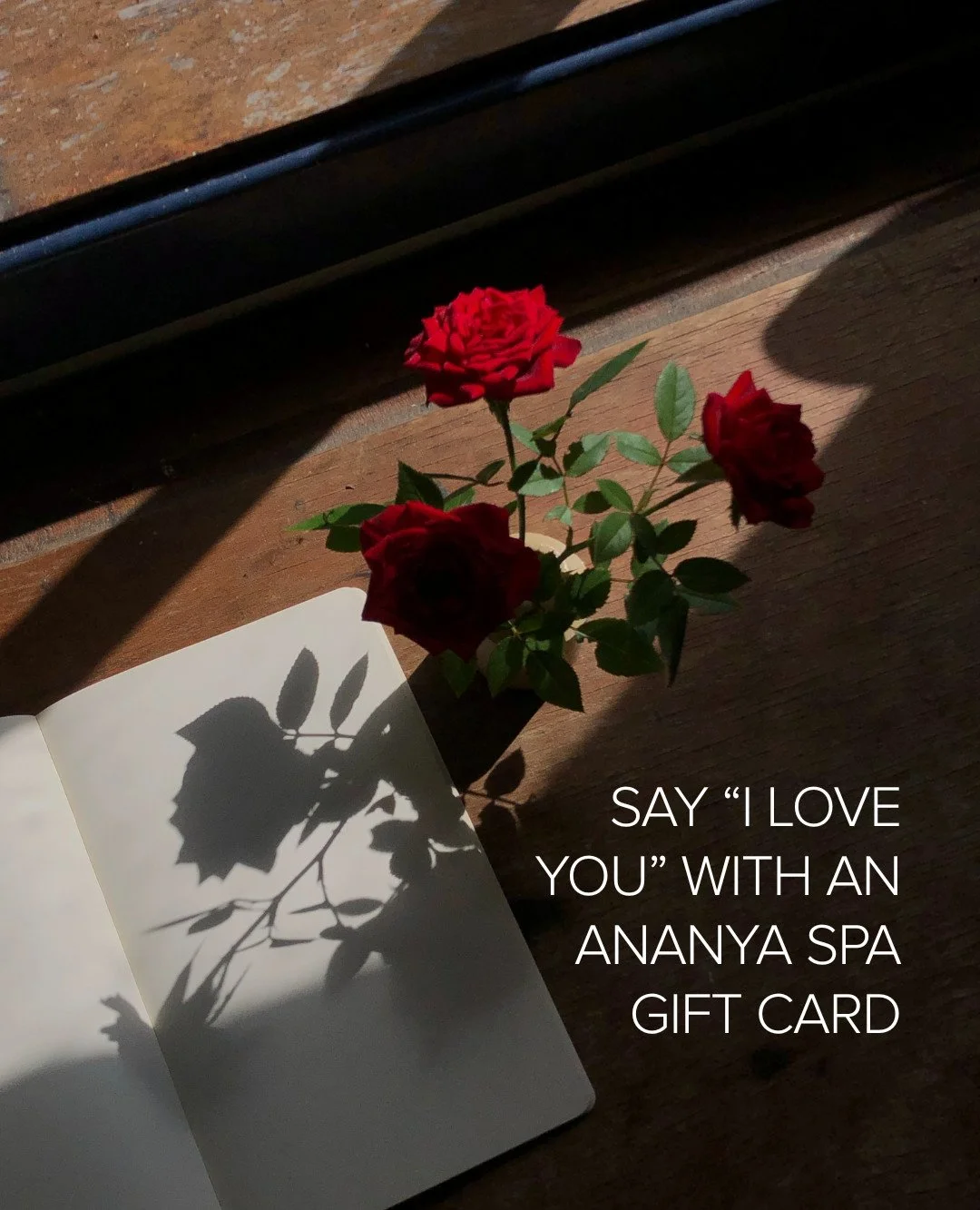 When words fall short, a little time to unwind says it all 🫶 
An Ananya Spa gift card is a thoughtful way to invite rest, renewal, and quiet moments of care, whether shared or enjoyed solo.

Perfect for friends, partners, or anyone who deserves some