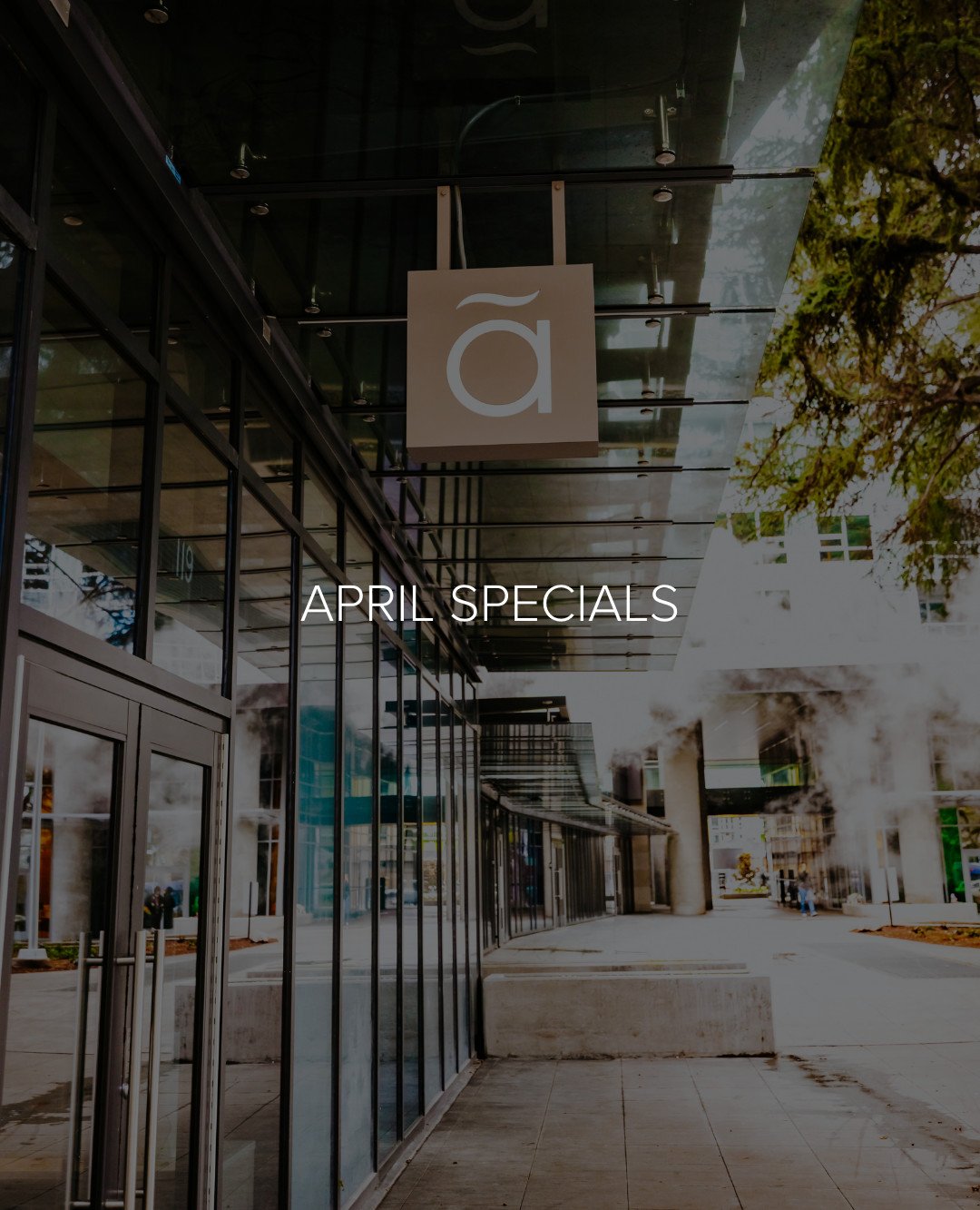 April in Seattle is meant for little moments that feel like luxury, soft towels, a cup of tea, and the deep exhale that comes with taking time for yourself. 

This month, the spa feels extra welcoming with new ways to treat yourself midweek, perks fo