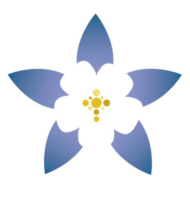 Nicole Campbell's Ordination