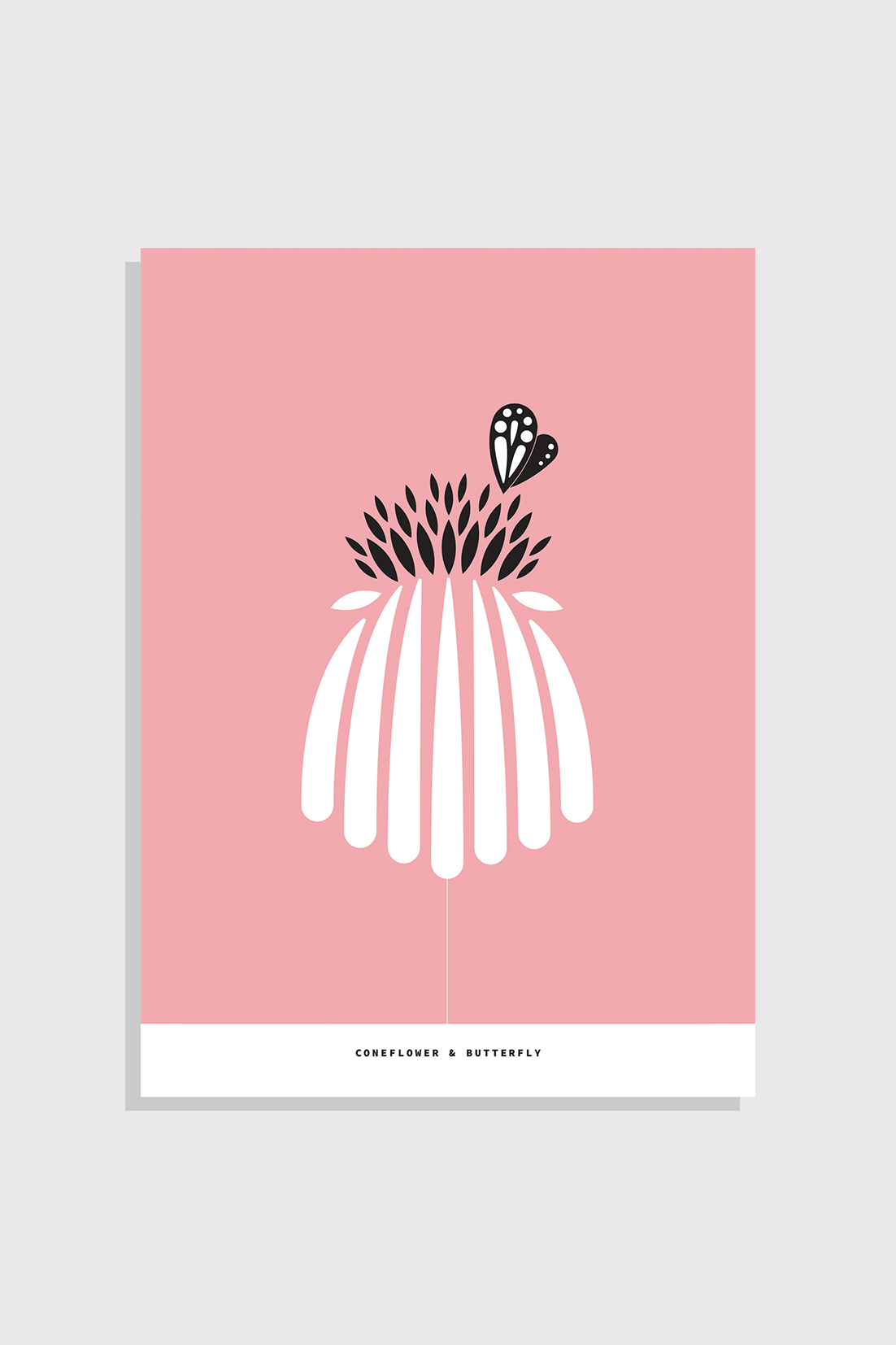 Postcards_5x7_Product_Coneflower.png