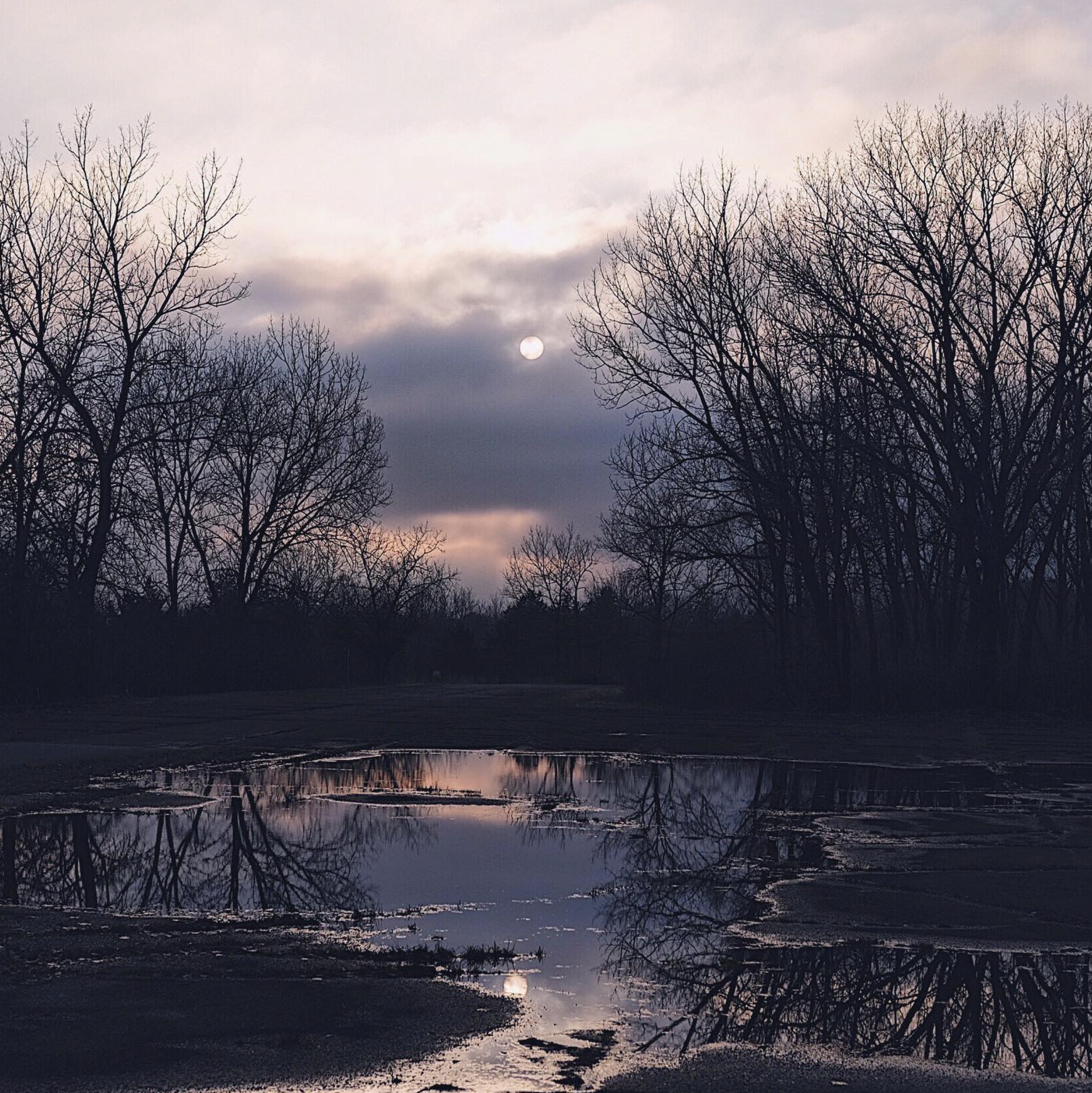 Screen Shot 2022-02-18 at 12.51.42 PM.png