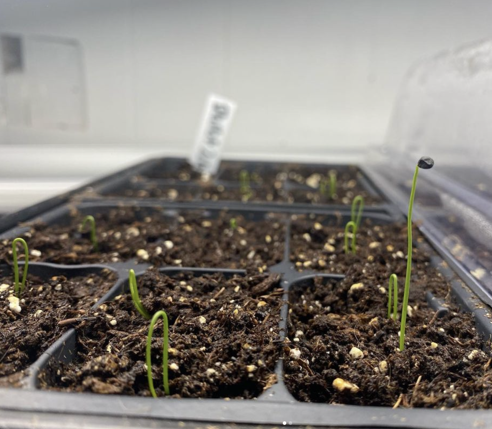 Screen Shot 2022-07-06 at 2.08.31 PM.png