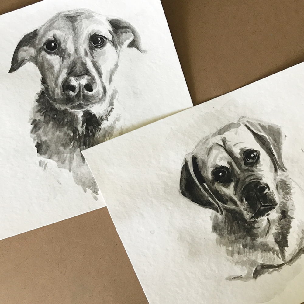 Kerri_Liu_AnimalPortrait_4.png
