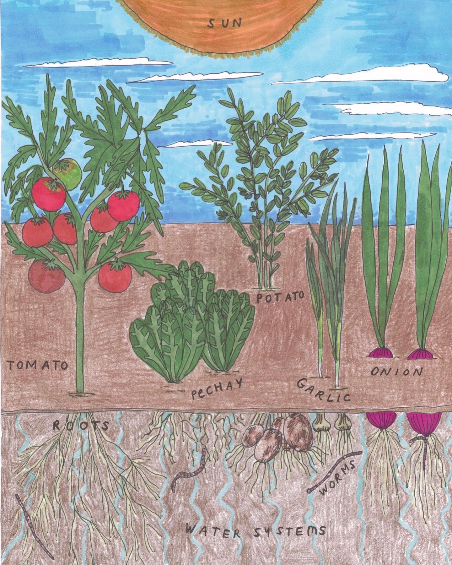 🌞NEW BLOG POST🌞
In &ldquo;AN ANATOMY OF FOOD JUSTICE&rdquo; Mina Alves @gamesnoplay + Zo&euml; Harvey @milqquetoast digs deeper underneath the meaning of food justice with their poetic take. Read it up and soak it in like fresh rain in soil, link i