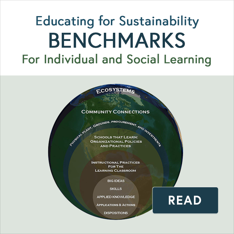 Social Learning Ecosystems