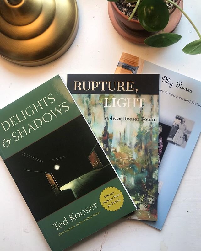 Happy National Poetry Month!⁣
⁣
I&rsquo;m always thankful for the poets among us&mdash;especially this month! ⁣
⁣
Here are three poetry collections that have been keeping me company over the past several weeks. I picked up this Ted Kooser collection 