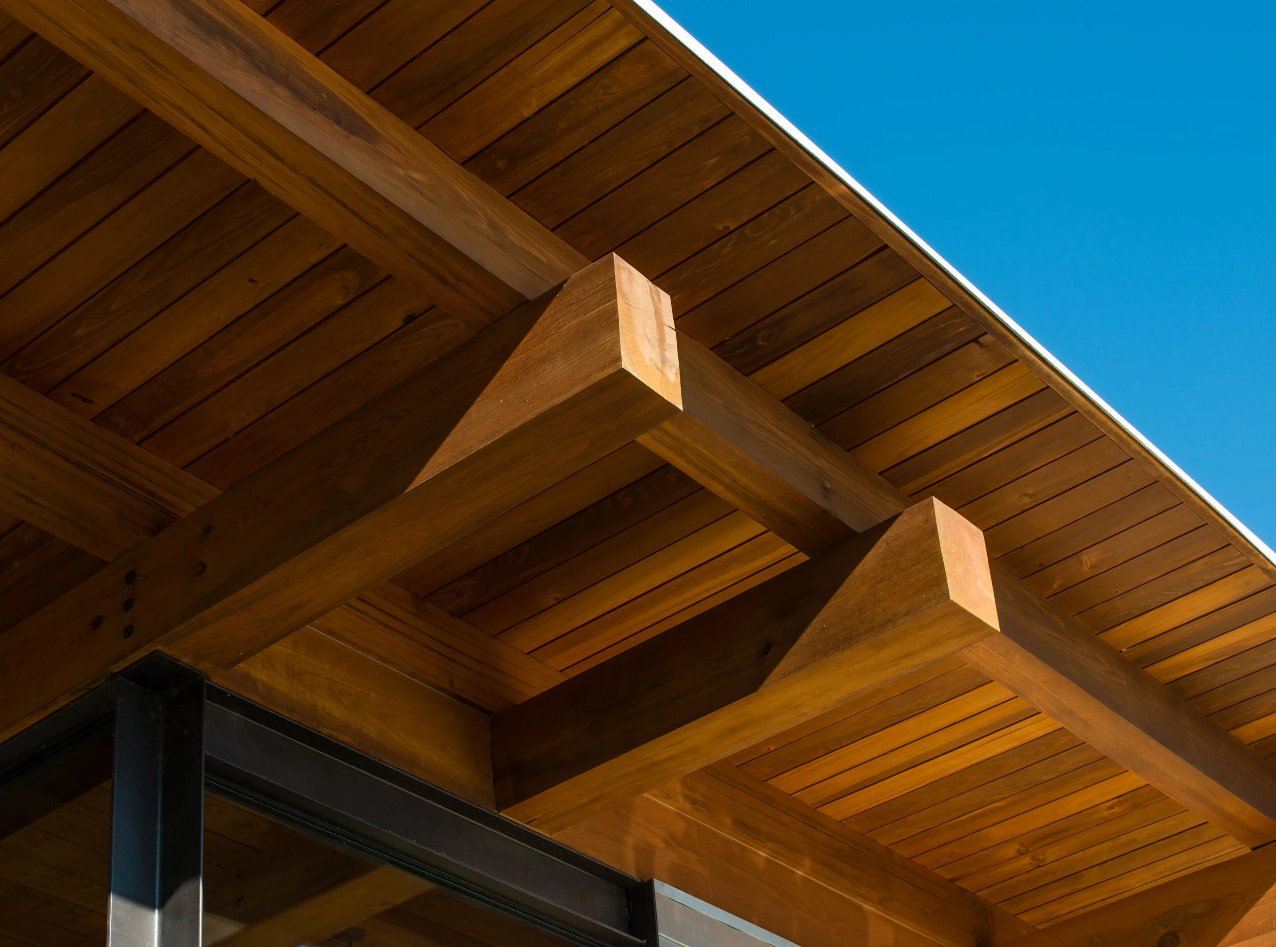 Big Tree Camp — Truax Construction