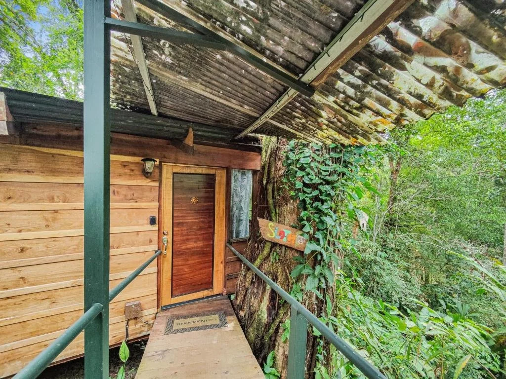 sloth house.jpg