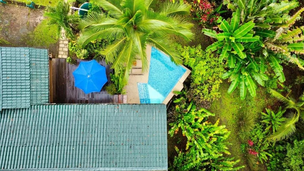 pool from above.jpg