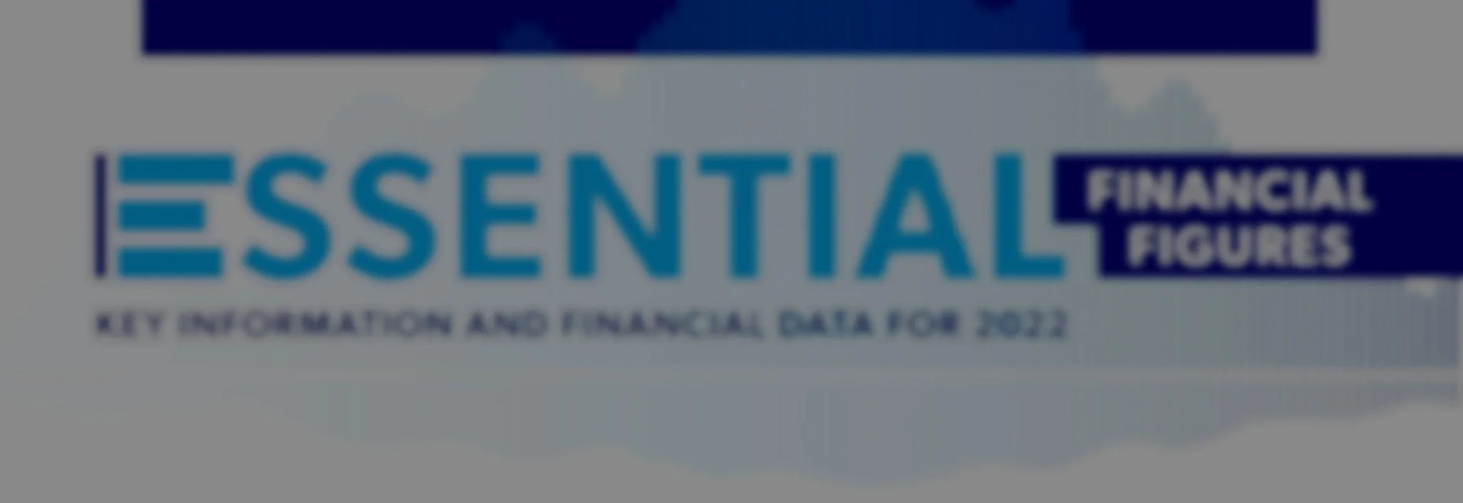 Essential Financial Figures: Key Information and Financial Data for 2022