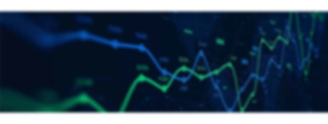 Economists Reflect on Lessons From a Chaotic Year