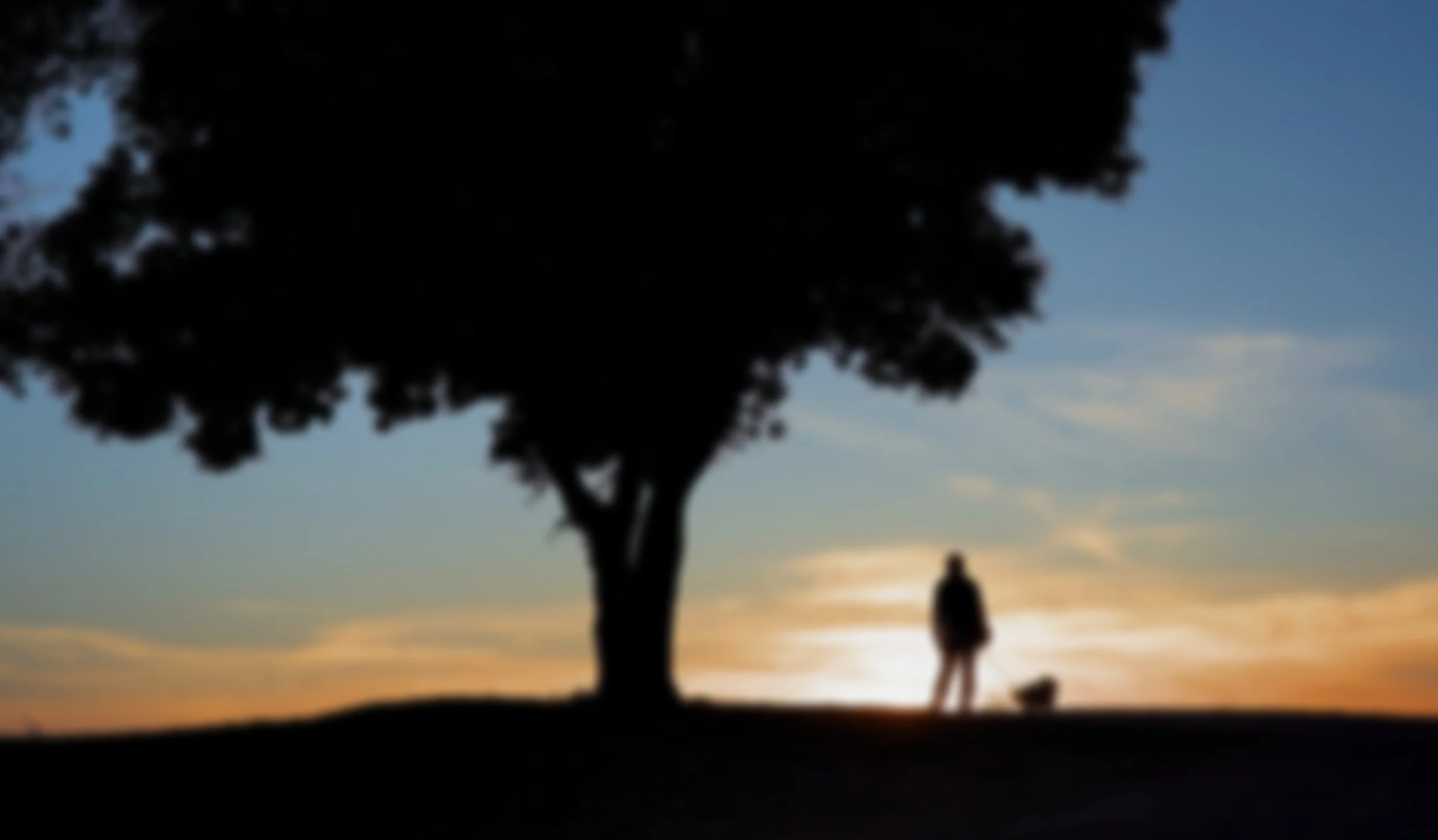 Checklist: Should I Change My Medicare Coverage During Open Enrollment?