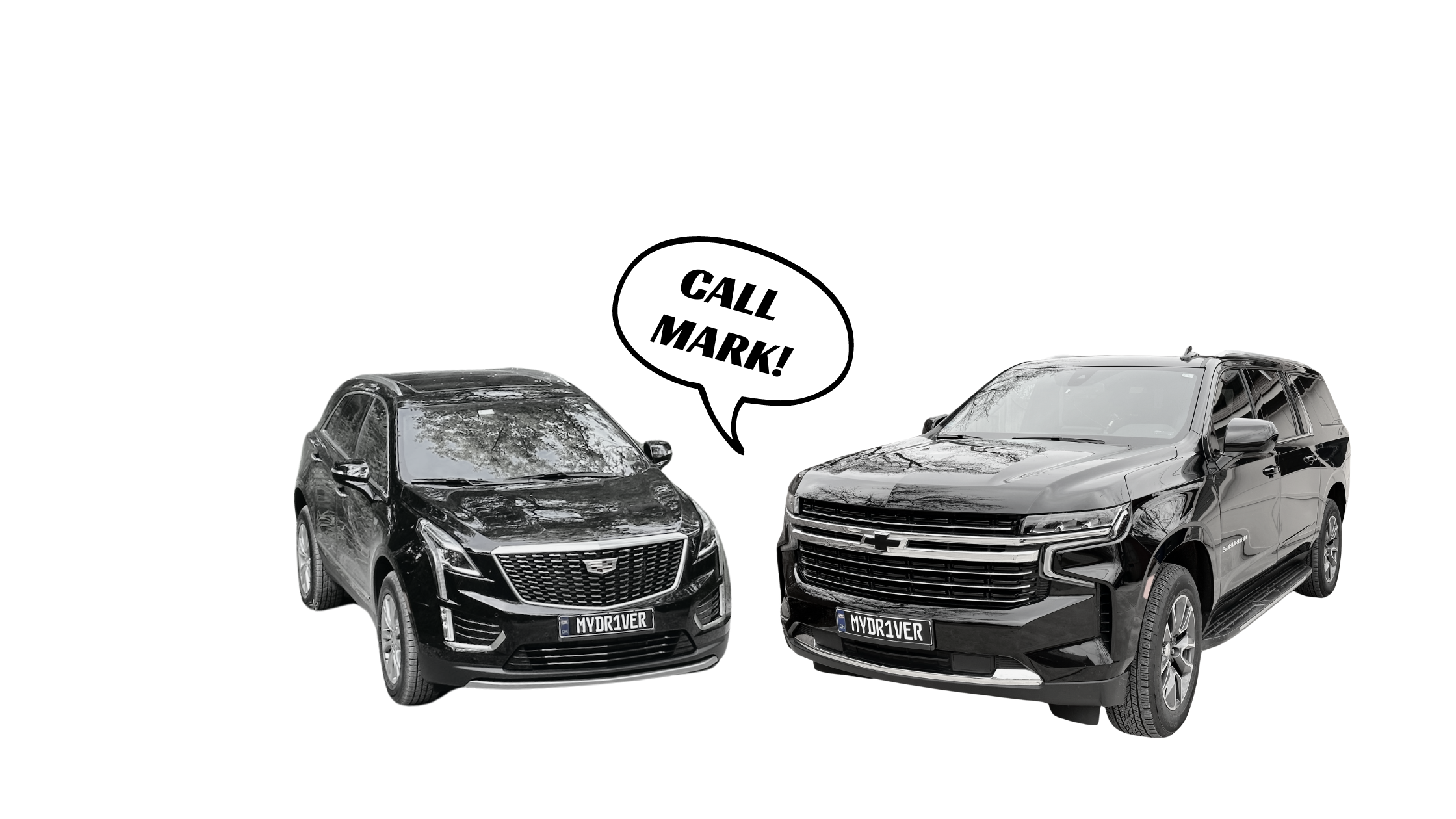 What We Do Page Banner V2.png