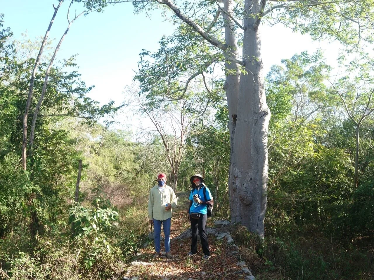 645D19F9-B78F-4C3C-A462-8AD8E93BA990