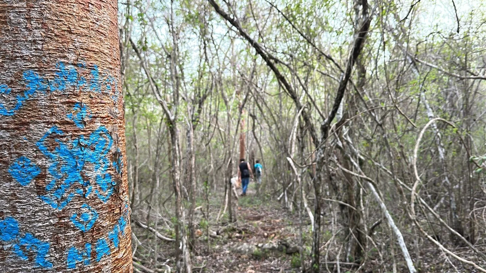 Imagen de WhatsApp 2025-07-03 a las 12.16.25_d25f4df0.jpg