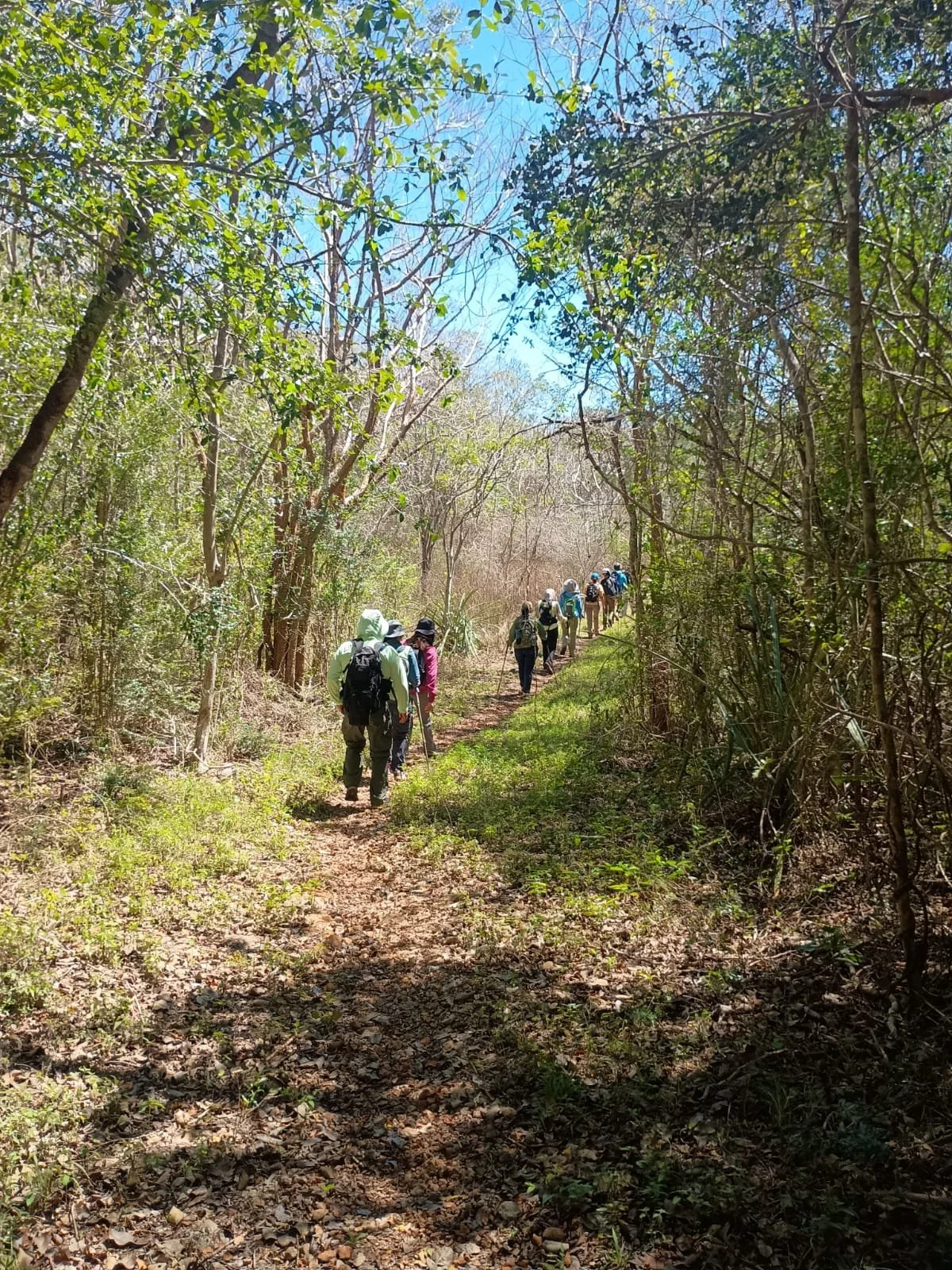 Imagen de WhatsApp 2025-02-28 a las 11.45.34_3918aad6.jpg