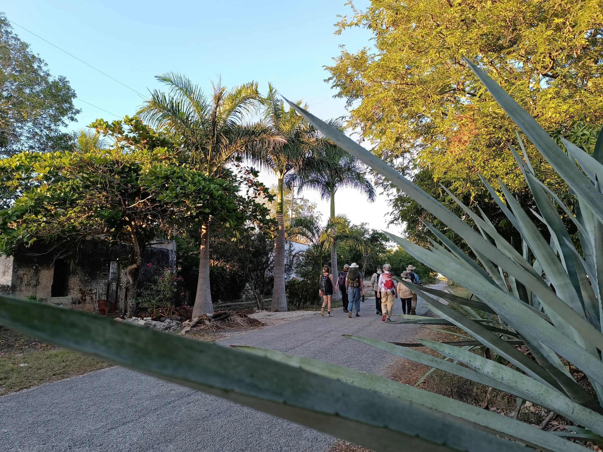 Imagen de WhatsApp 2025-05-20 a las 11.56.00_d03ccf10.jpg