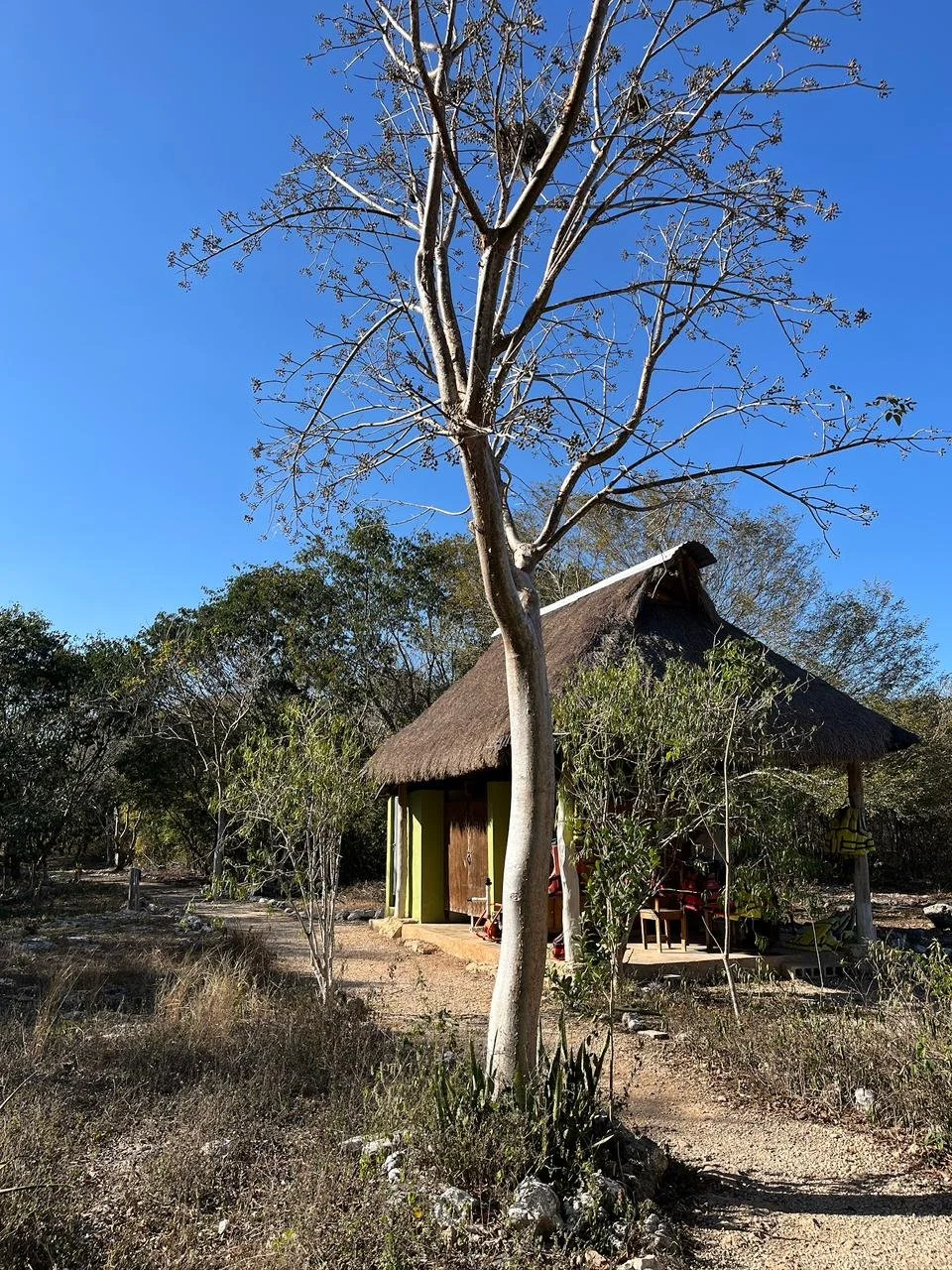 WhatsApp Image 2026-03-31 at 12.48.34 PM (1).jpeg