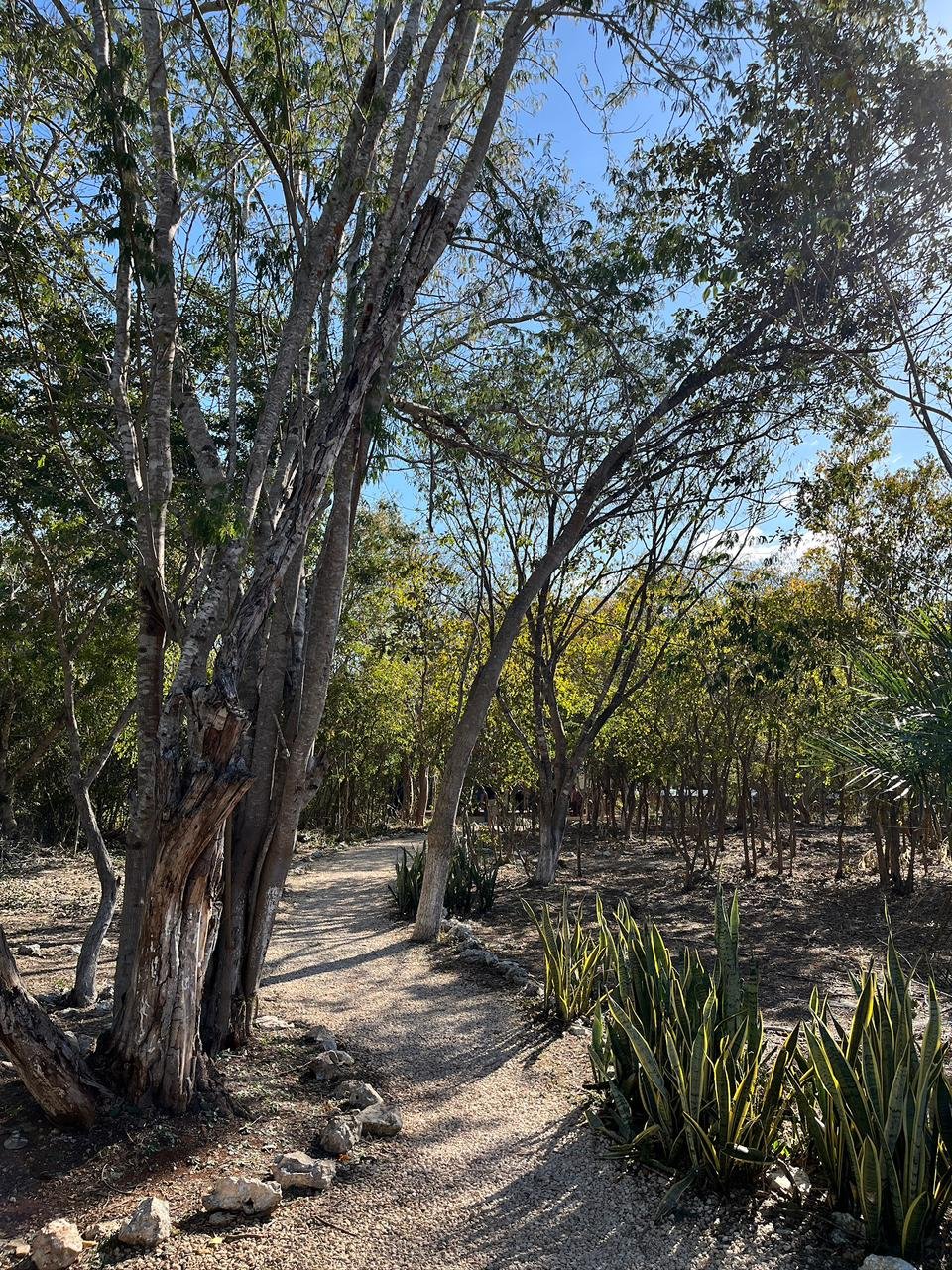 WhatsApp Image 2026-03-31 at 12.48.33 PM.jpeg