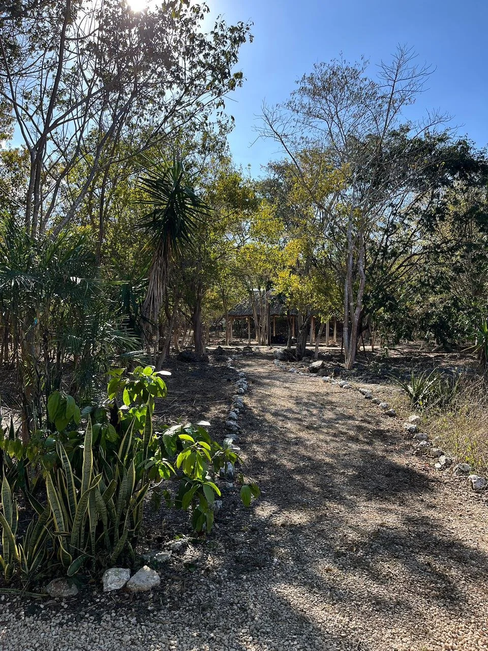 WhatsApp Image 2026-03-31 at 12.48.34 PM.jpeg