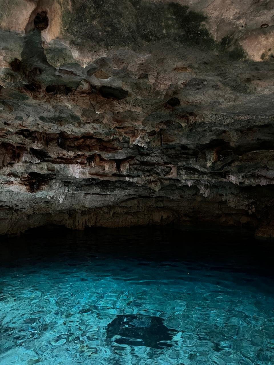 WhatsApp Image 2026-04-06 at 1.20.38 PM (3).jpeg