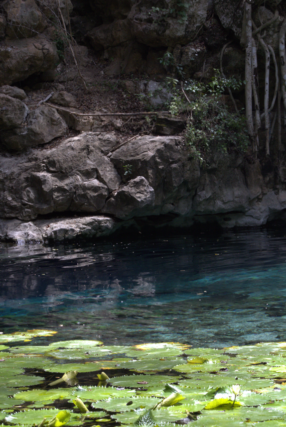 Captura de pantalla 2026-04-06 131455.png