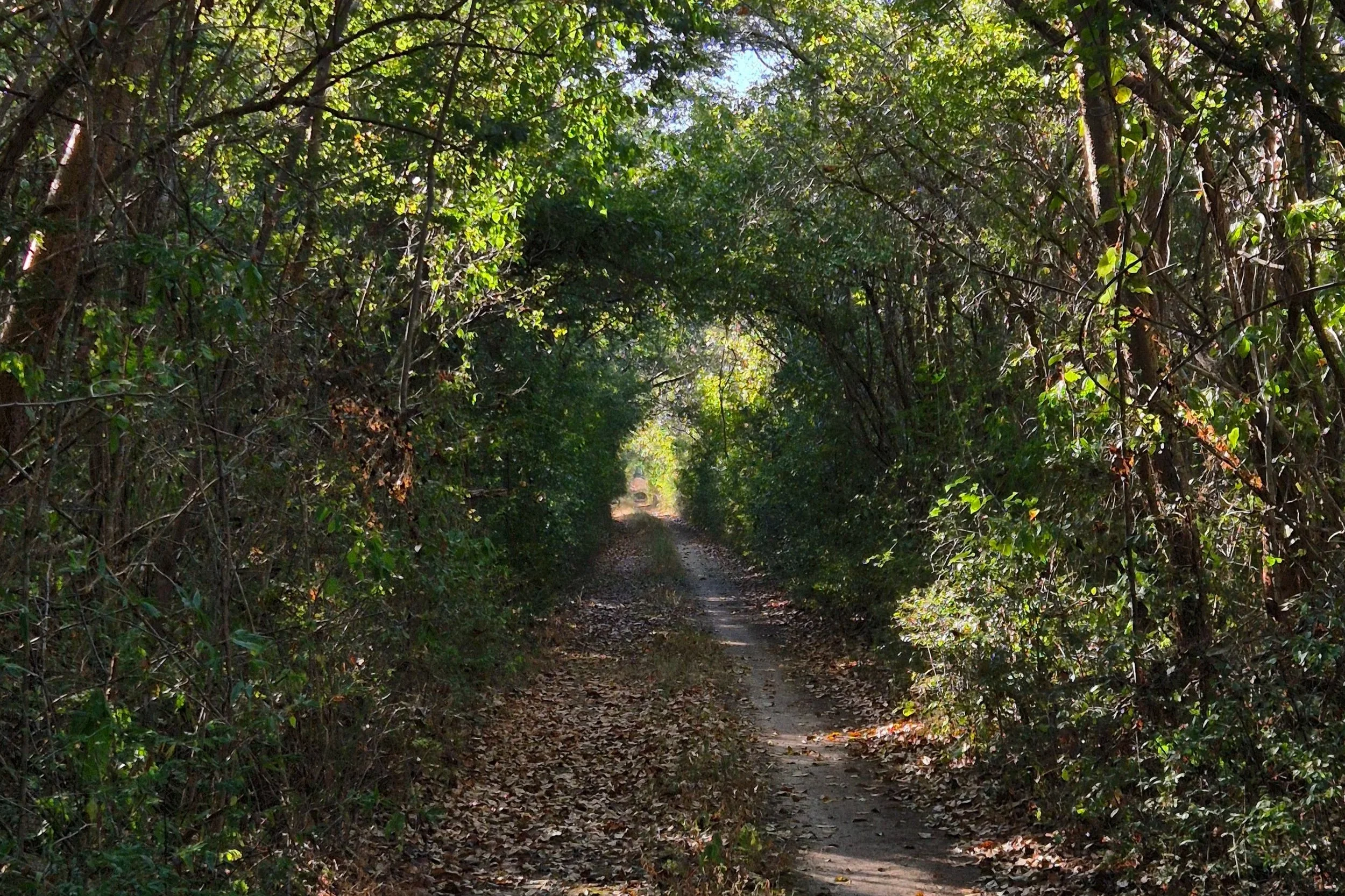 Travesía de 5 días - Senderismo