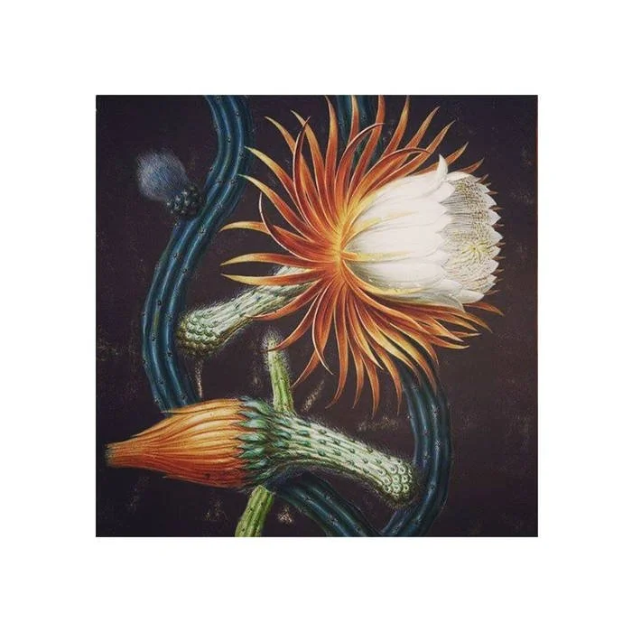 Johanna Samuels - 2 Covers