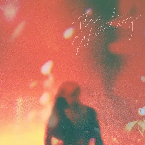 Sally Eidman - The Wanting