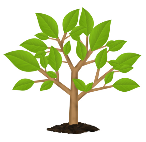 Branching Out