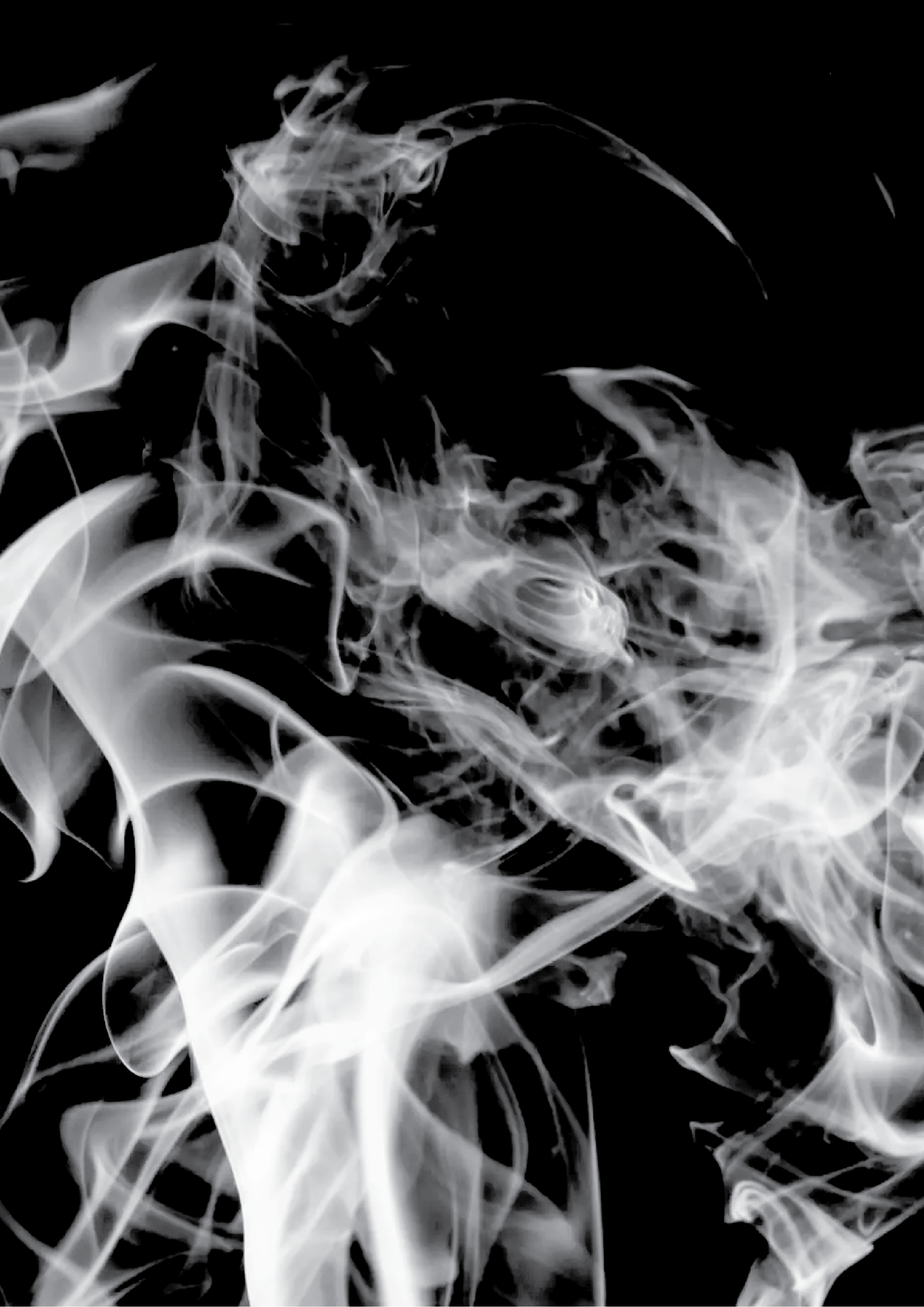 Black Musk Fragrance Oil