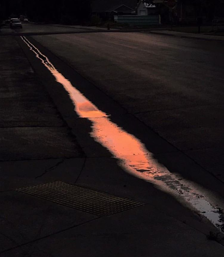 IMG_0575.PNG
