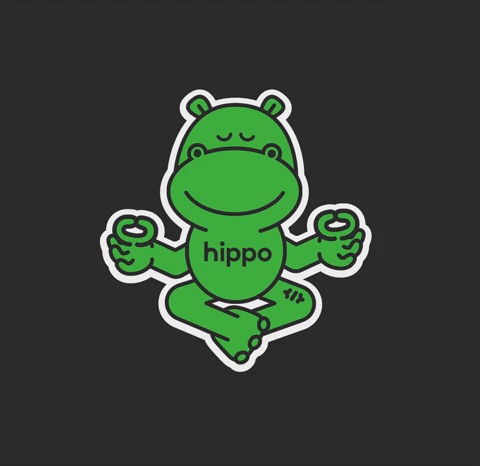 Animated illustration of a hippo made by aga wawro for Swingdev a Hippo Company
