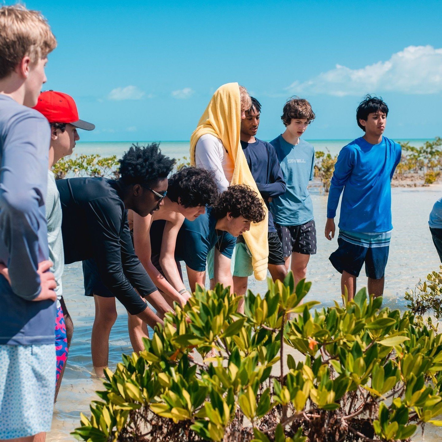 One of the most highlights of our Grade 9 curriculum is their study abroad program at @TheIslandSchool in The Bahamas!⁠ This unique trip takes students beyond the traditional classroom, immersing them in hands-on scientific research, sustainable livi