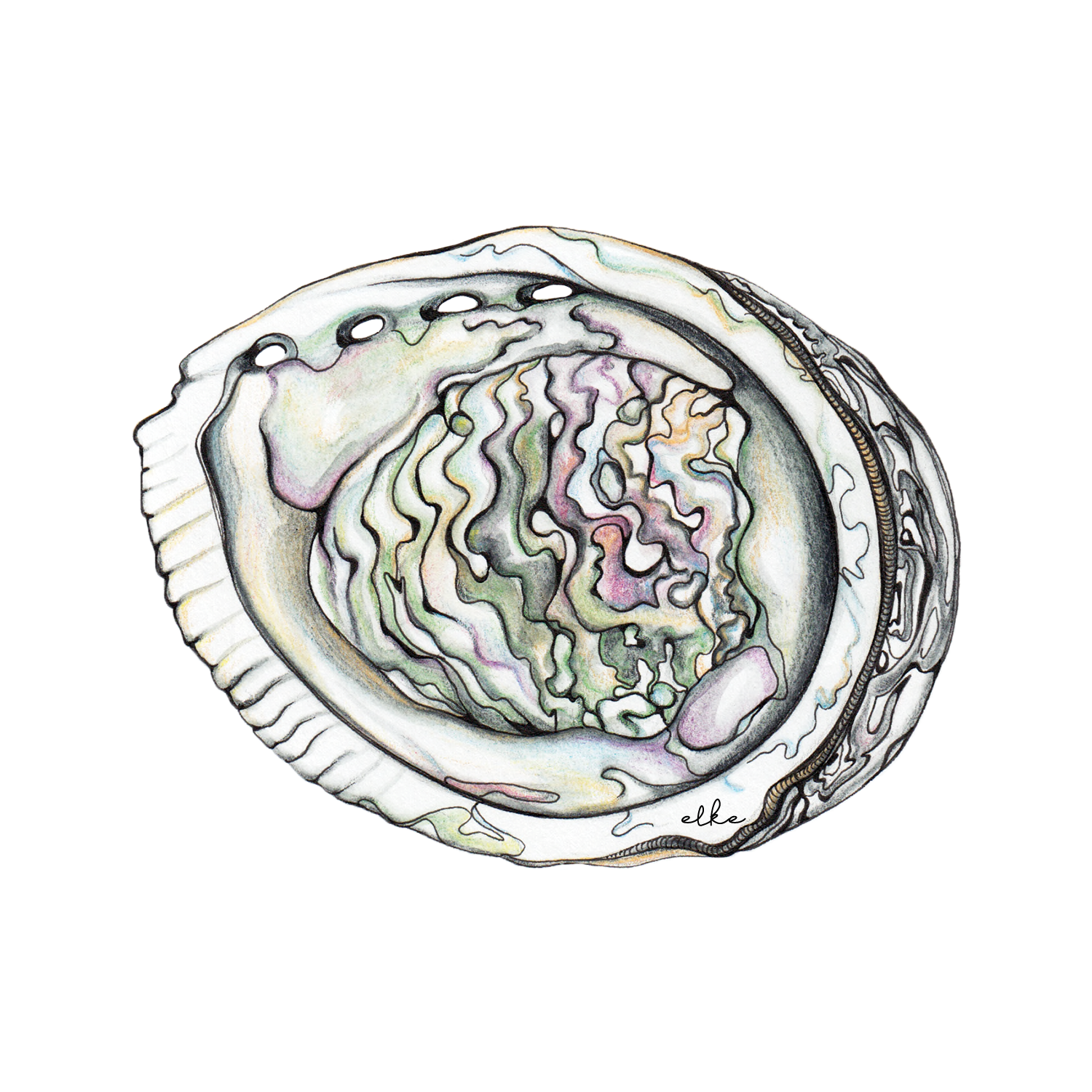 abalone_card.png