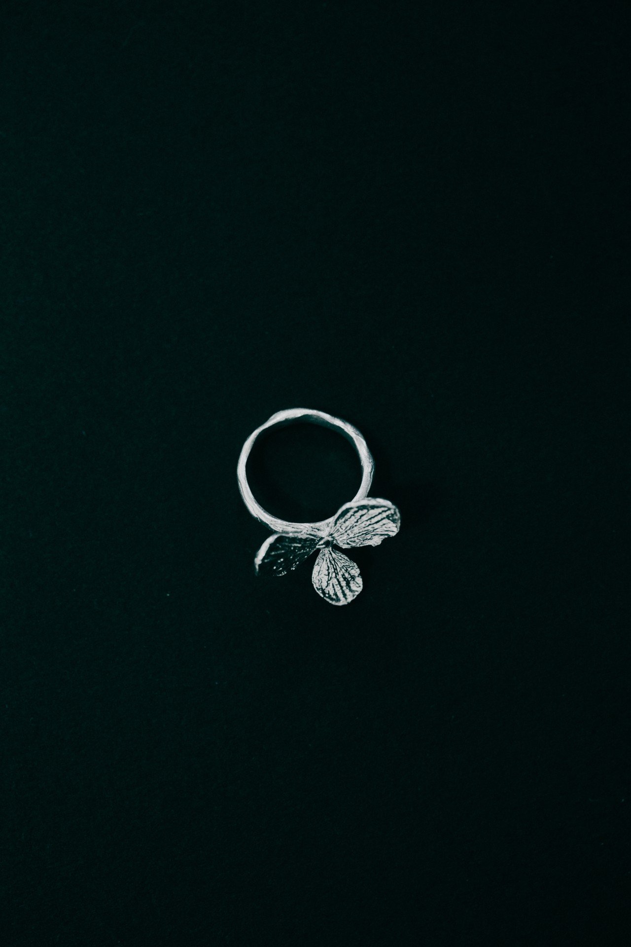 ring1.jpg