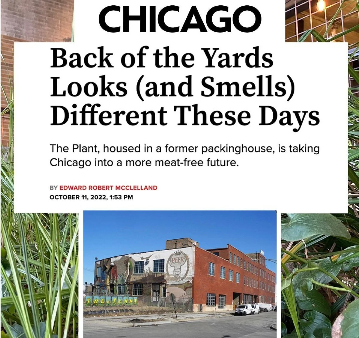 Nov. 2022 Newsletter