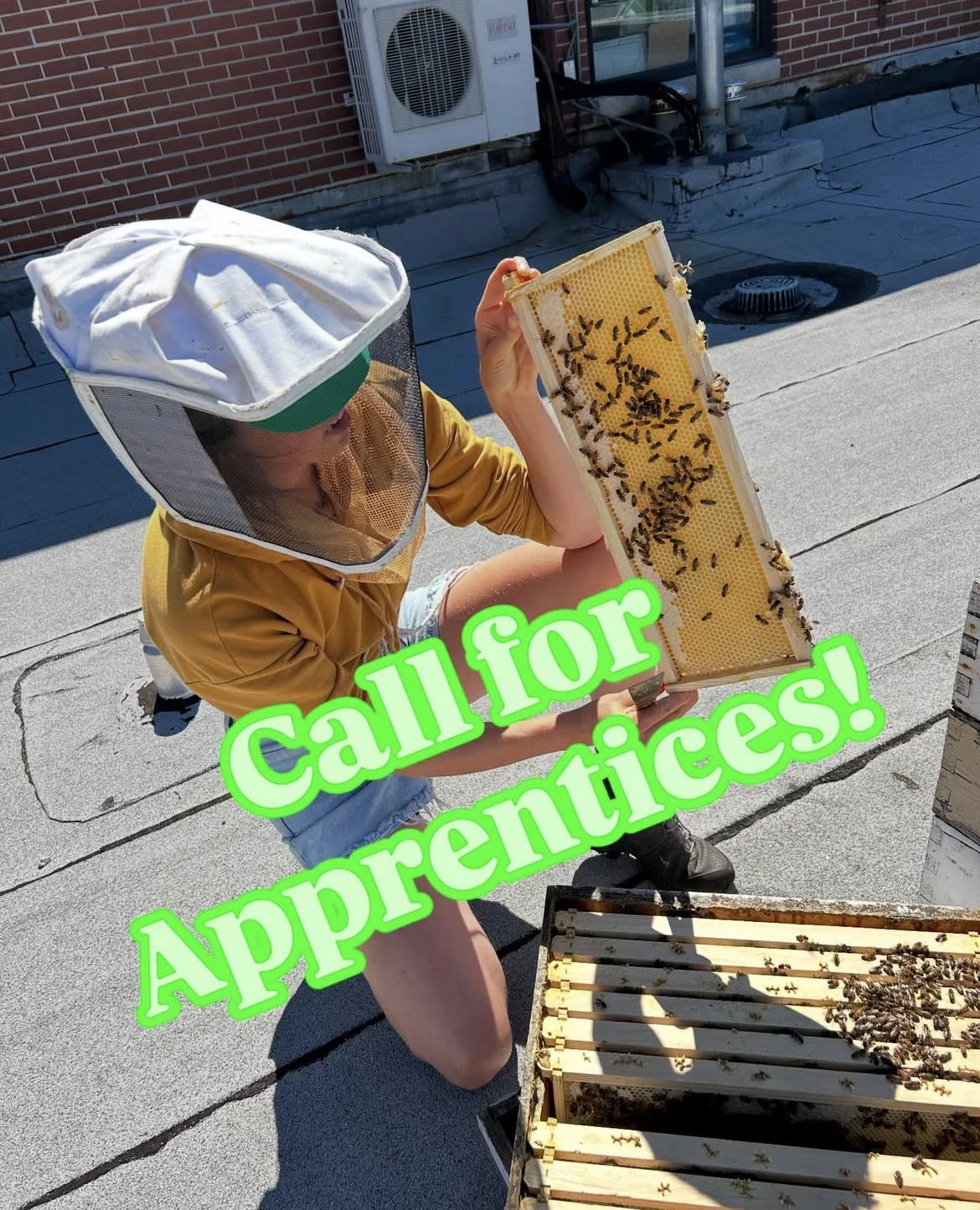 Feb. 2025 Newsletter