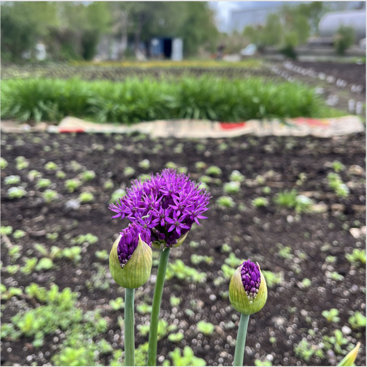 May 2026 Newsletter