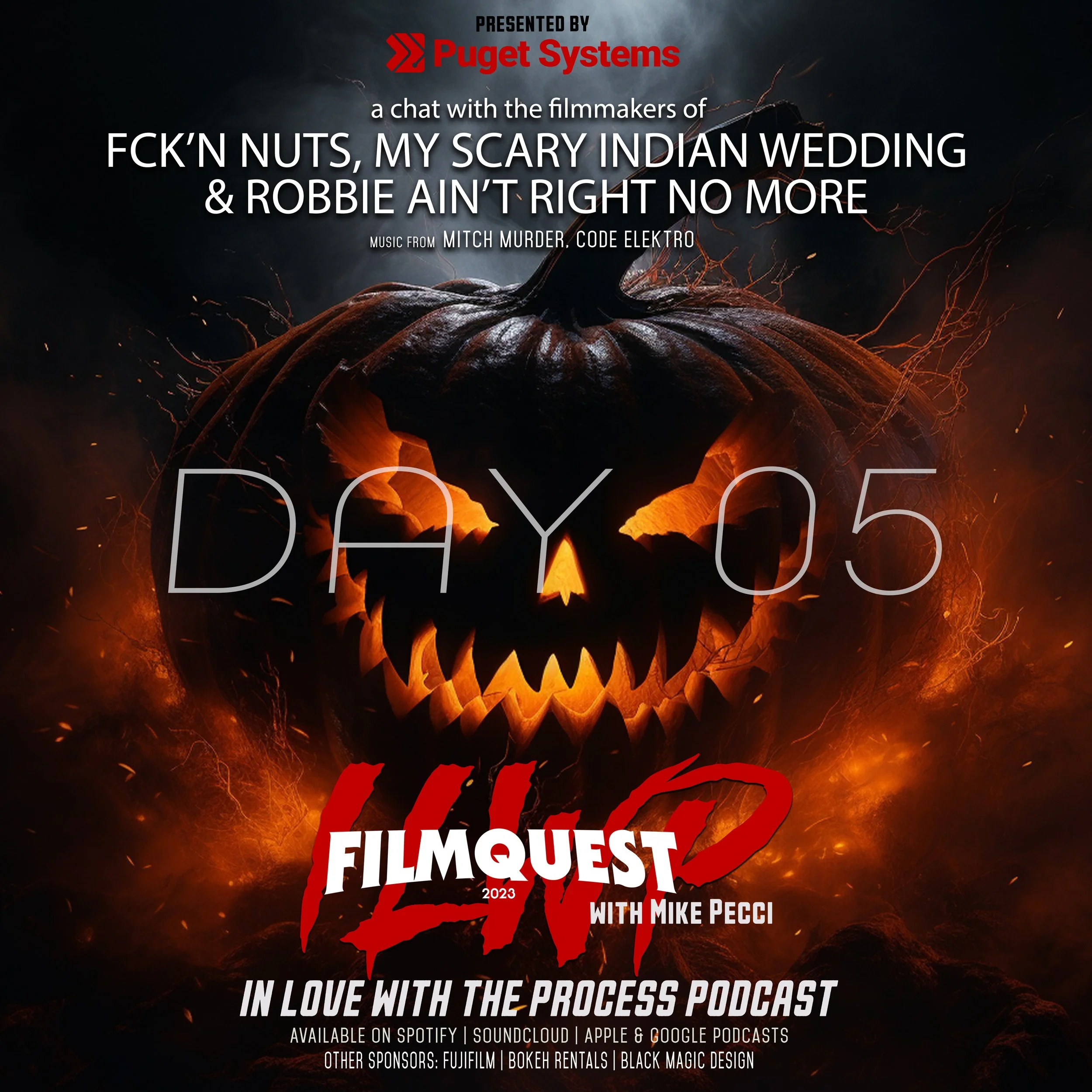 ILWP FilmQuest Series Day 05 (My Scary Indian Wedding, Fck'n Nuts, Robbie ain't right no more)