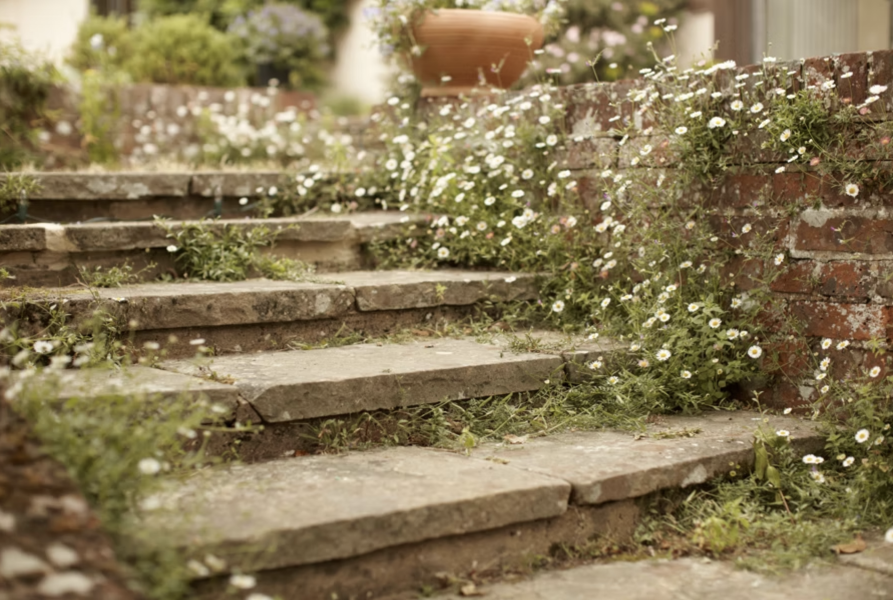 Screenshot 2026-03-25 at 08.11.28.png