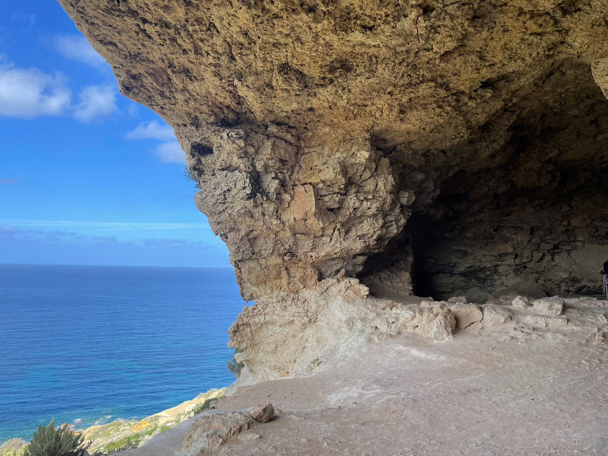 WhatsApp Image 2025-10-29 at 07.47.24.jpeg