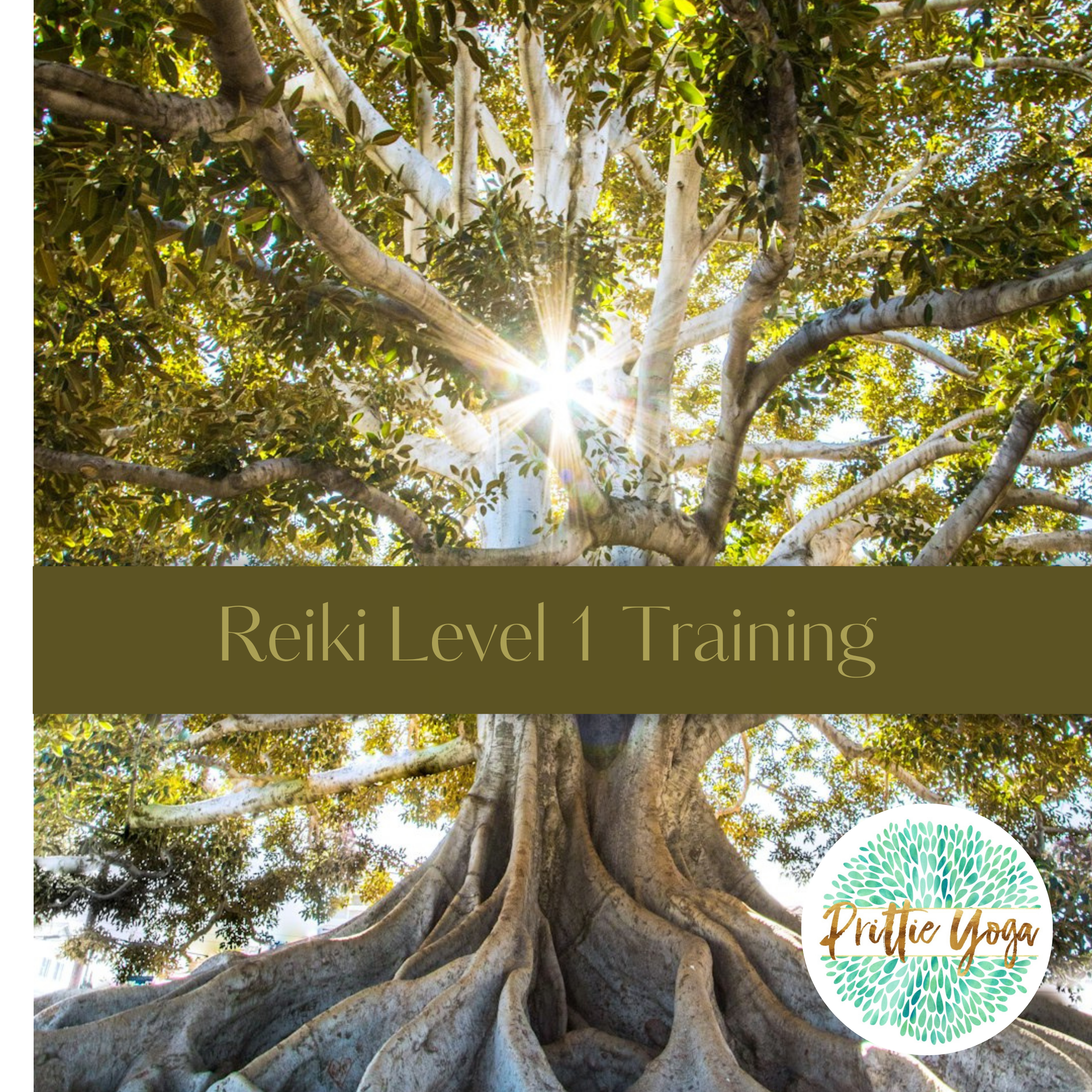 Reiki Level 1 Training.png