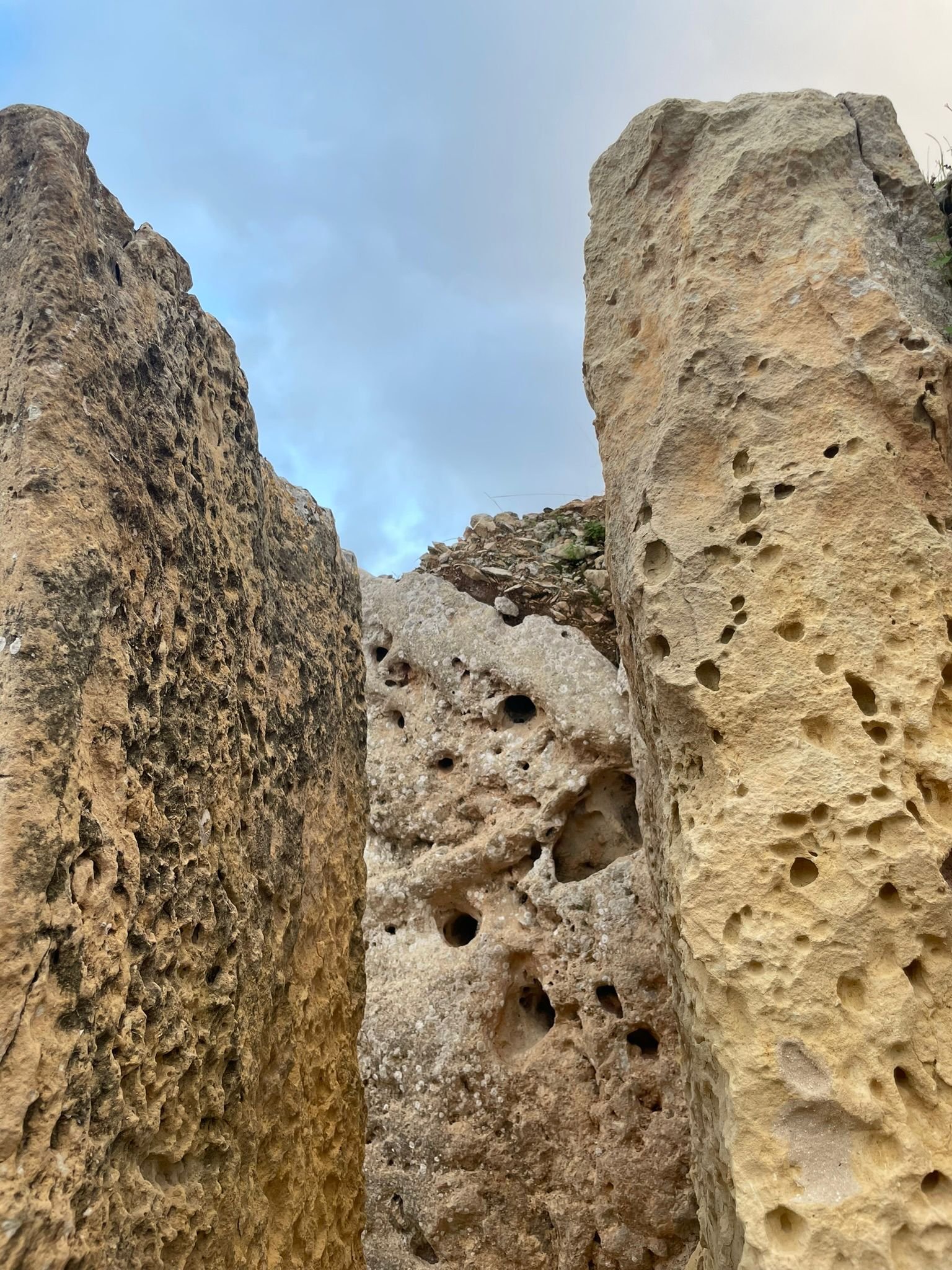 WhatsApp Image 2025-10-29 at 07.47.28 (1).jpeg