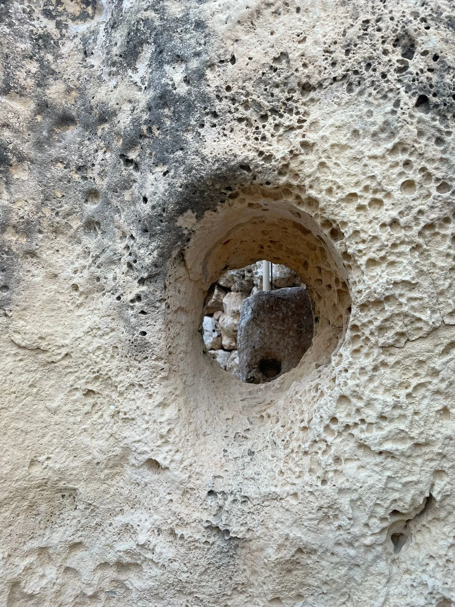 WhatsApp Image 2025-10-29 at 07.47.27.jpeg