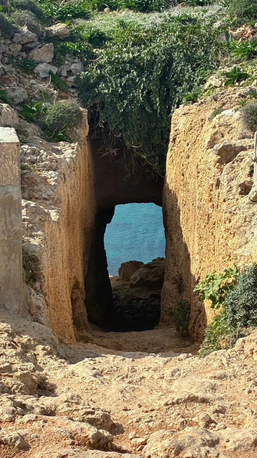 WhatsApp Image 2026-01-03 at 21.07.10 (4).jpeg